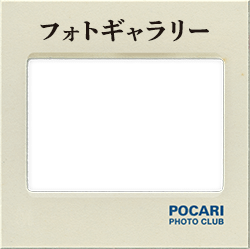 フォトギャラリー