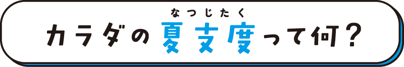 カラダの夏支度って何？